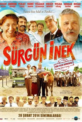 Sürgün İnek
